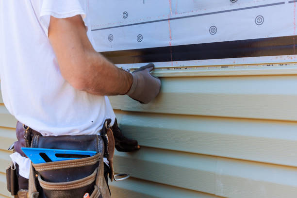 Best Custom Trim and Detailing for Siding  in Homer, GA